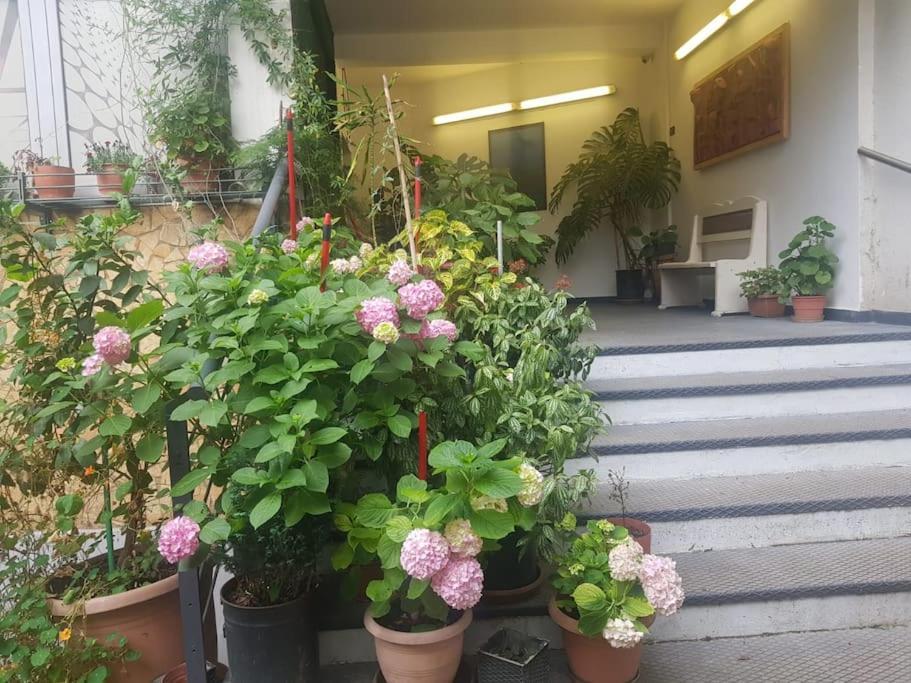 Pazari_Ri_Studio Lägenhet Tirana Exteriör bild
