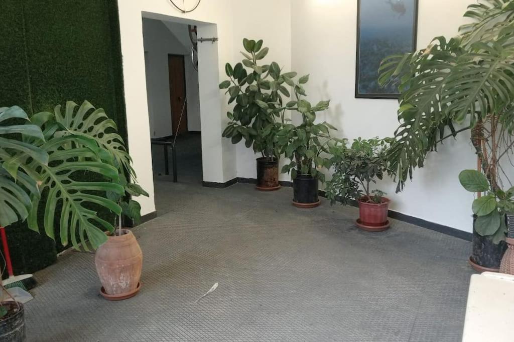Pazari_Ri_Studio Lägenhet Tirana Exteriör bild